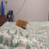 攻击